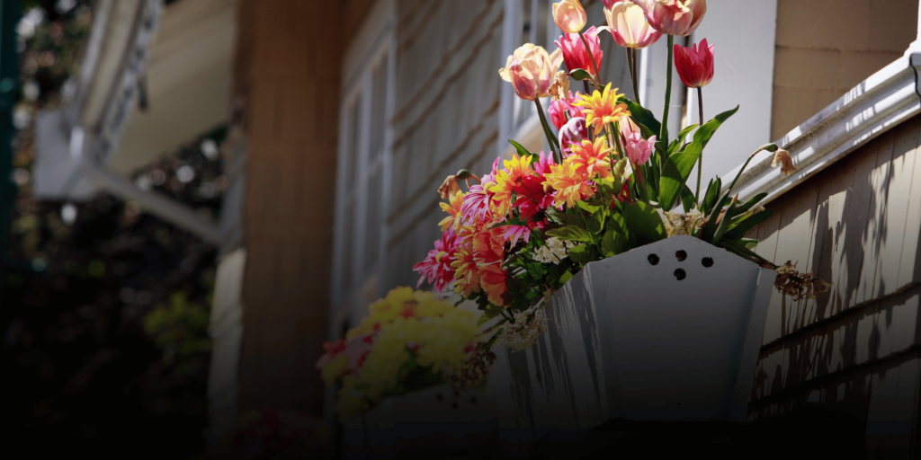 window-box-of-flowers