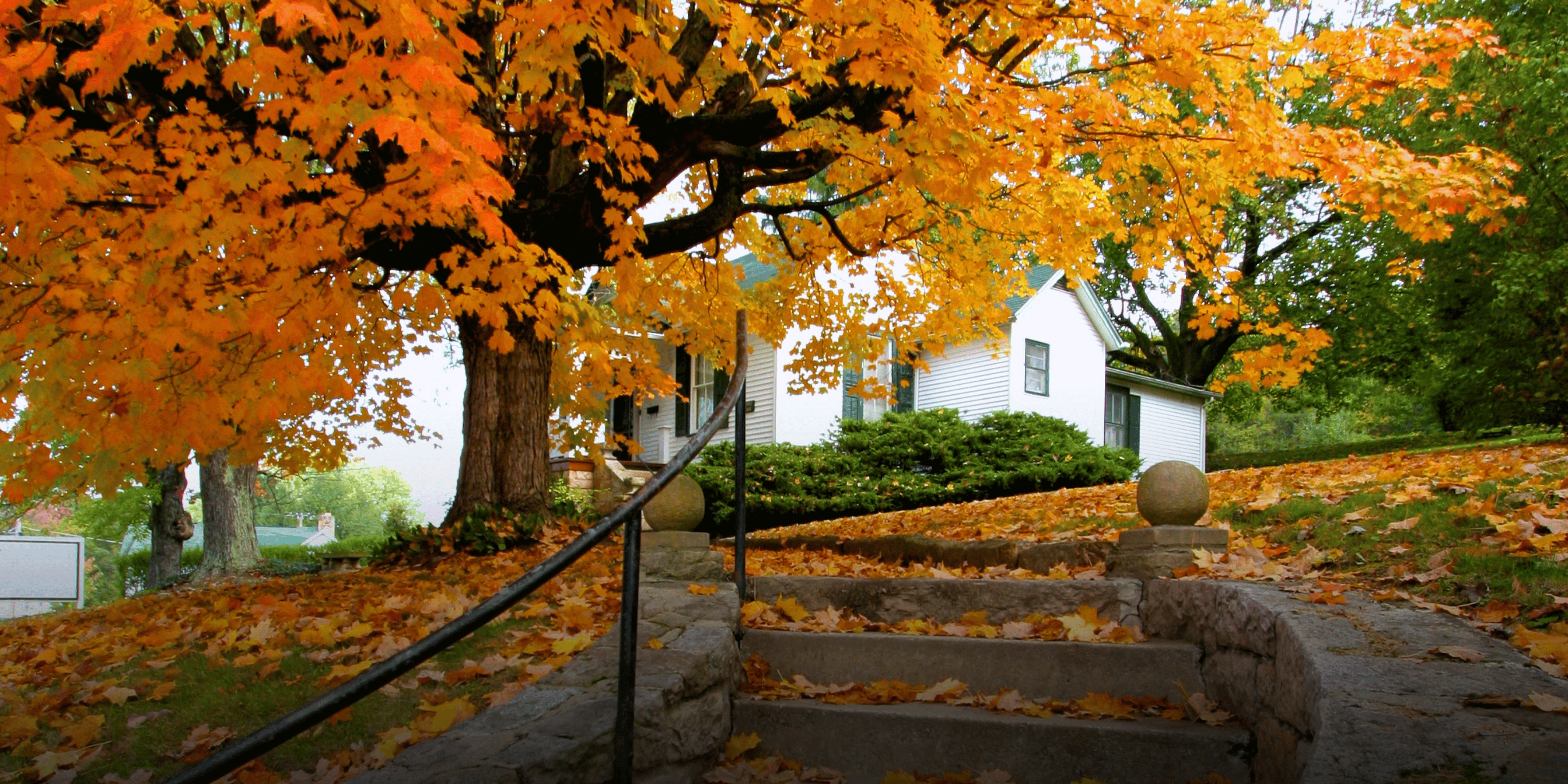 house-in-fall