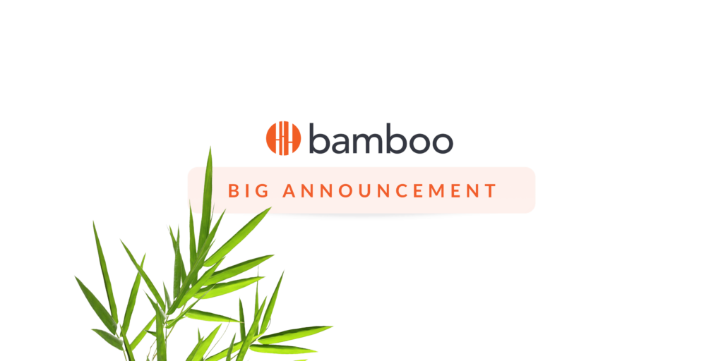 big-announcement-banner