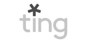 ting (1)