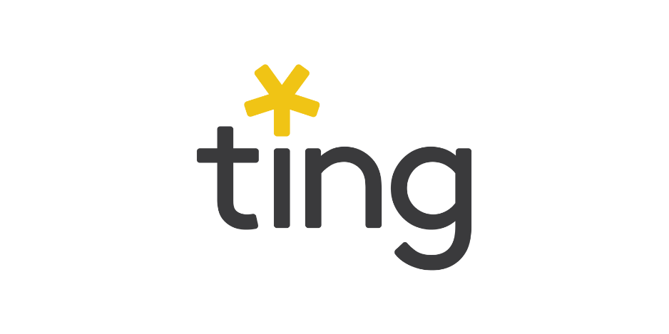 ting (3)
