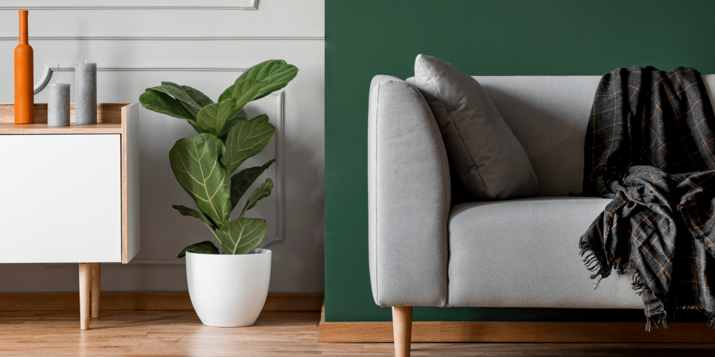 Living room with green accent wall